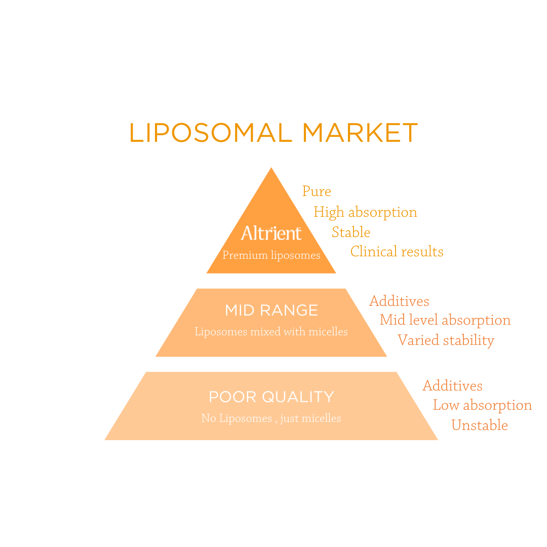 Liposomal Market Infographic